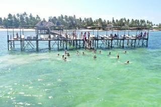 Paradise Beach Resort & Spa - Uroa - 9