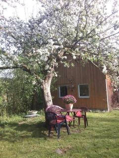 Neueröffnung, 2 wunderschöne Ferienwohnungen im Grünen - Maierhöfen - 3