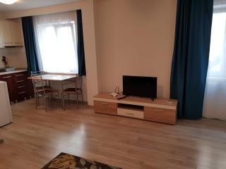 Apartament 2 Central - Târgu-Mureş - 9