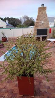 Welterusten Guesthouse - Strand - 8