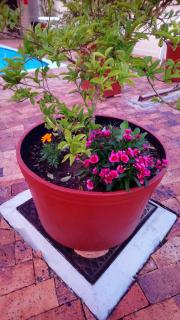 Welterusten Guesthouse - 7