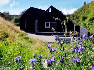 6 person holiday home in Blokhus - Blokhus - 8