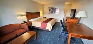 Economy 7 Inn- Newport News - Newport News - 4
