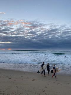 Dolphins Backpackers - 1