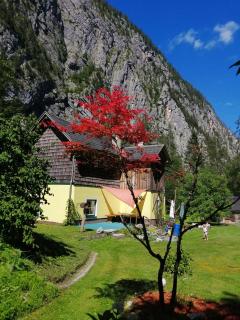 Haus Waldbach - Hallstatt - 1
