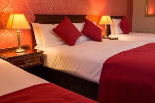 Anner Hotel - Thurles - 1