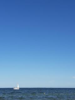 Apartament Fala - 6