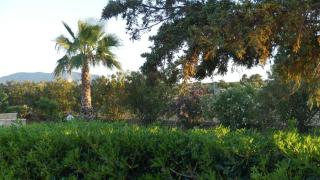 Villa PARADISE BIFAMILIARE San vito lo capo - San Vito Lo Capo - 4