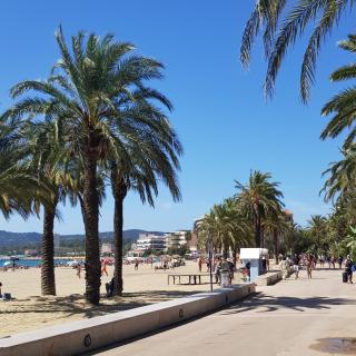 Grand F2 vue mer - Le Lavandou - 5