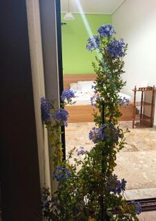 Sunny Room - Kalamata - 9