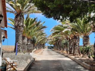 Quintinha das Lombas S - Porto Santo - 4