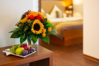 Hotel Mutter-Bahr - Ibbenbüren - 2