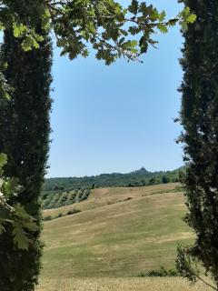 Poggio Bicchieri - Campiglia dʼOrcia - 2