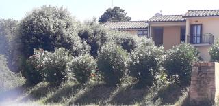 Scacco Matto - 8