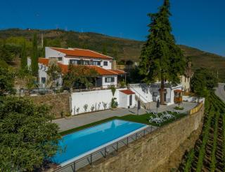 Quinta da Portela Douro - Armamar - 0