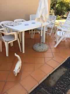 Casa Maltinu - Santa Teresa di Gallura - 9