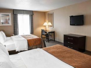 Comfort Inn & Suites - 4