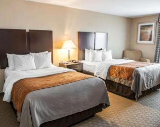Comfort Inn & Suites - 3