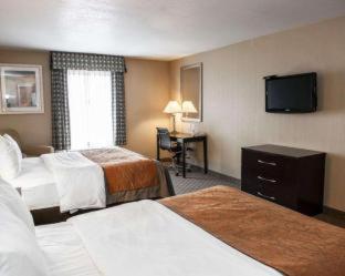 Comfort Inn & Suites - 1