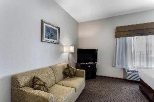 MainStay Suites Big Spring North I-20 - 4