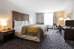 Comfort Inn & Suites - 7