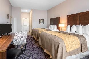Comfort Inn & Suites - Lovington - 4