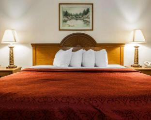 Quality Inn Rochester South - 4