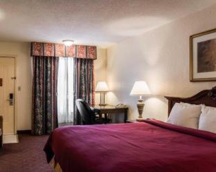 Clarion Inn & Suites Central Clearwater Beach - 8