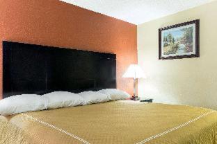 Super 8 by Wyndham Ruston - 4