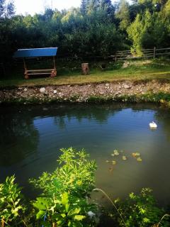 Medova Hata - Mykulychyn - 6