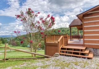Amazing Grace-Cozy Cabin Retreat in the Smokies - 6