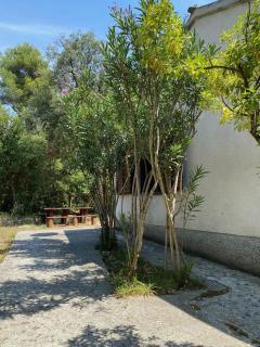 Rustic Holiday Home - Artatore - Mali Lošinj - 3