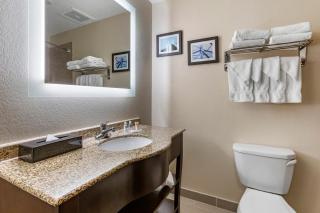 Comfort Suites Phoenix Airport - 8