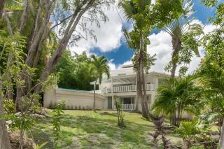 Mustard Seed - Saint Peter - 8