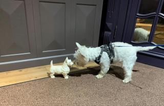 Boutique Hotel KRISTOFS - 3