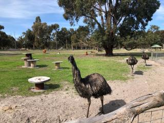 Nutcrackers Lodge - 5