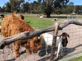 Nutcrackers Lodge - 6