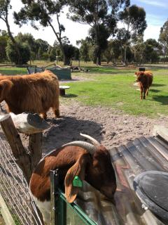 Nutcrackers Lodge - 7