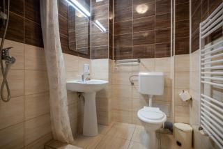 Vila Alexandra Sovata - 1