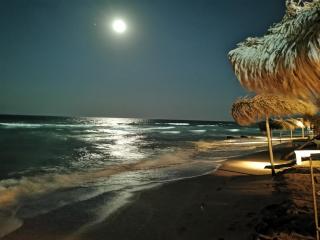 Crazy Beach Apartment - Mamaia - 9