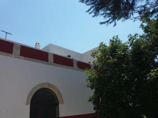 Oasi Rupestre - Montescaglioso - 9