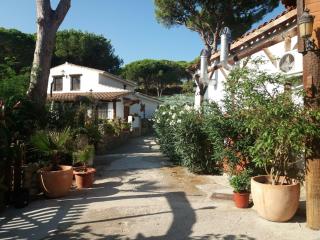 Finca El Abuelo - Barbate - 5