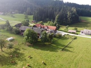 Tourist Farm Klevž - 8