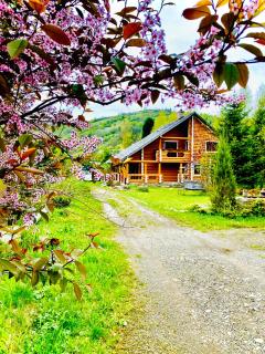 MySynevyr - будинок у серці Карпат - 1