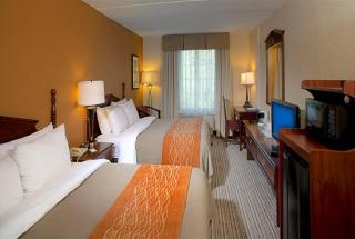 Comfort Inn - Hall of Fame - 4