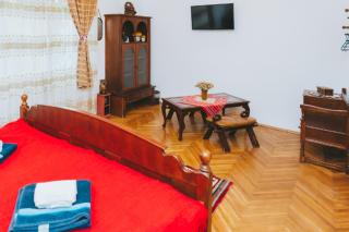 Casa Vinco Vici - Turda - 4