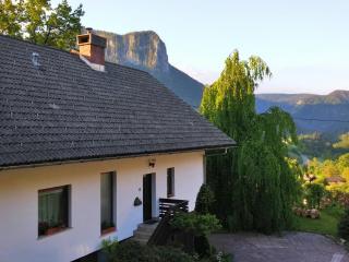 Spacious apartment - Bled - 0