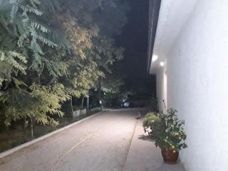 La Casa nel Verde - 8