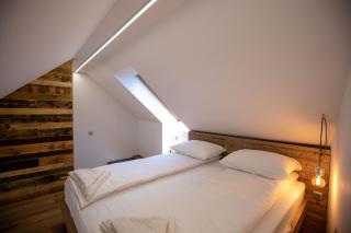 Becycle Sustainable stay and travel - Maribor - 6