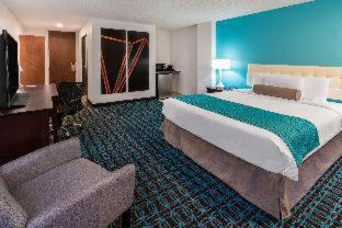 Hotel 505 - 4